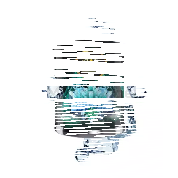 Holster Shisha Tabak - BOOSTER - 200g