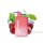 Lost Mary BM600 Einweg Vape - Cherry Ice - 20 mg/ml
